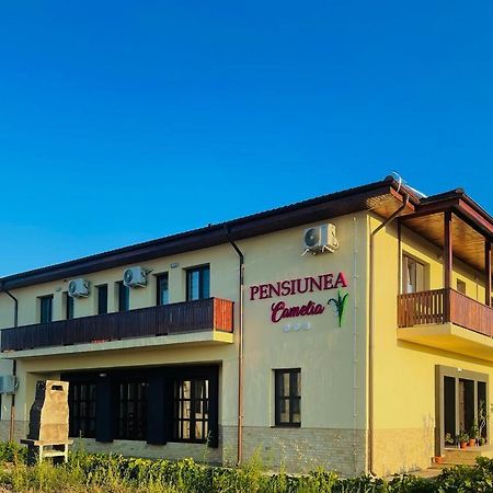 Pensiunea Camelia Baia Exterior foto