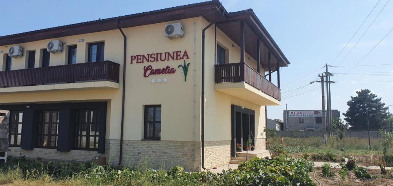 Pensiunea Camelia Baia Exterior foto